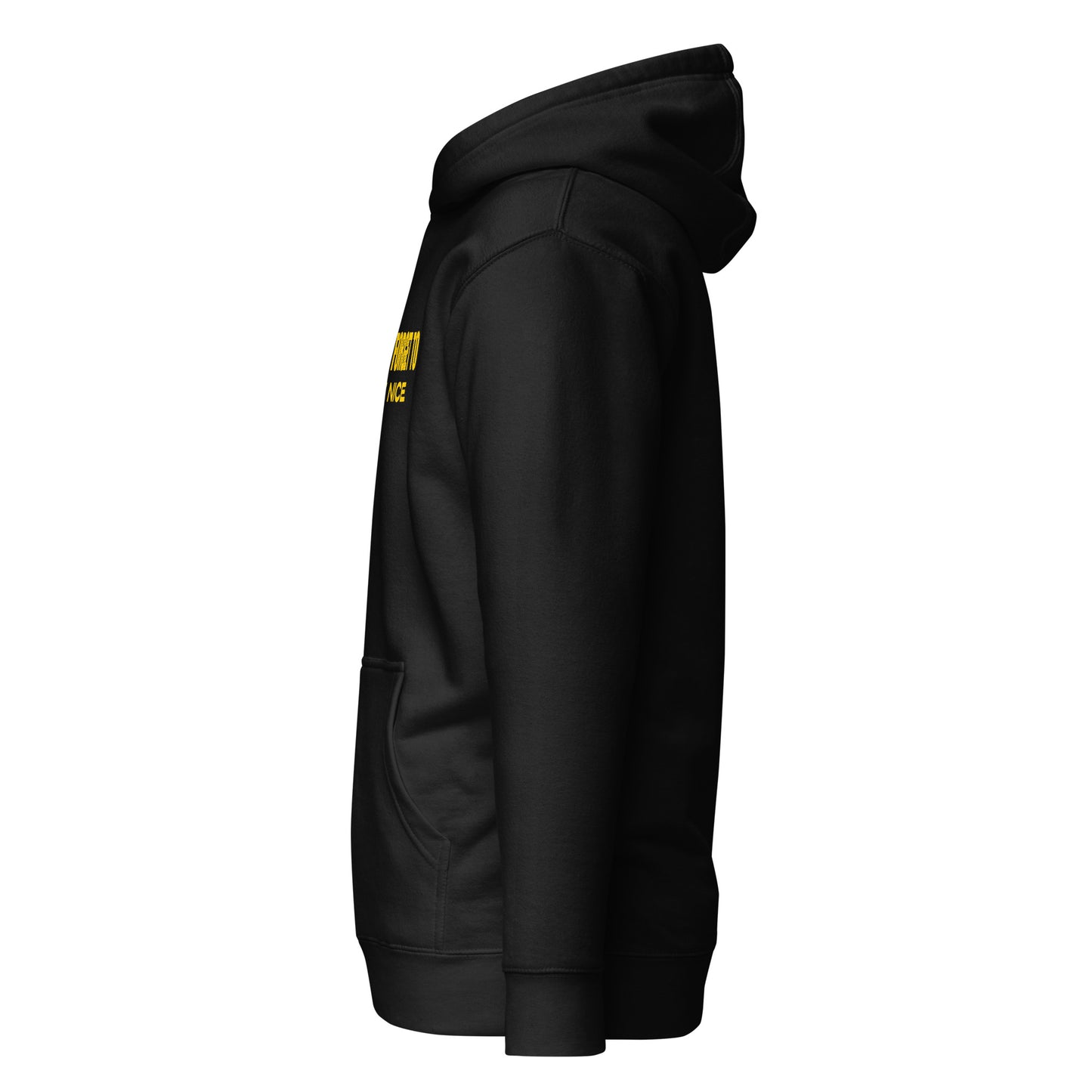 Don't Forget, Be Nice" Unisex Hoodie