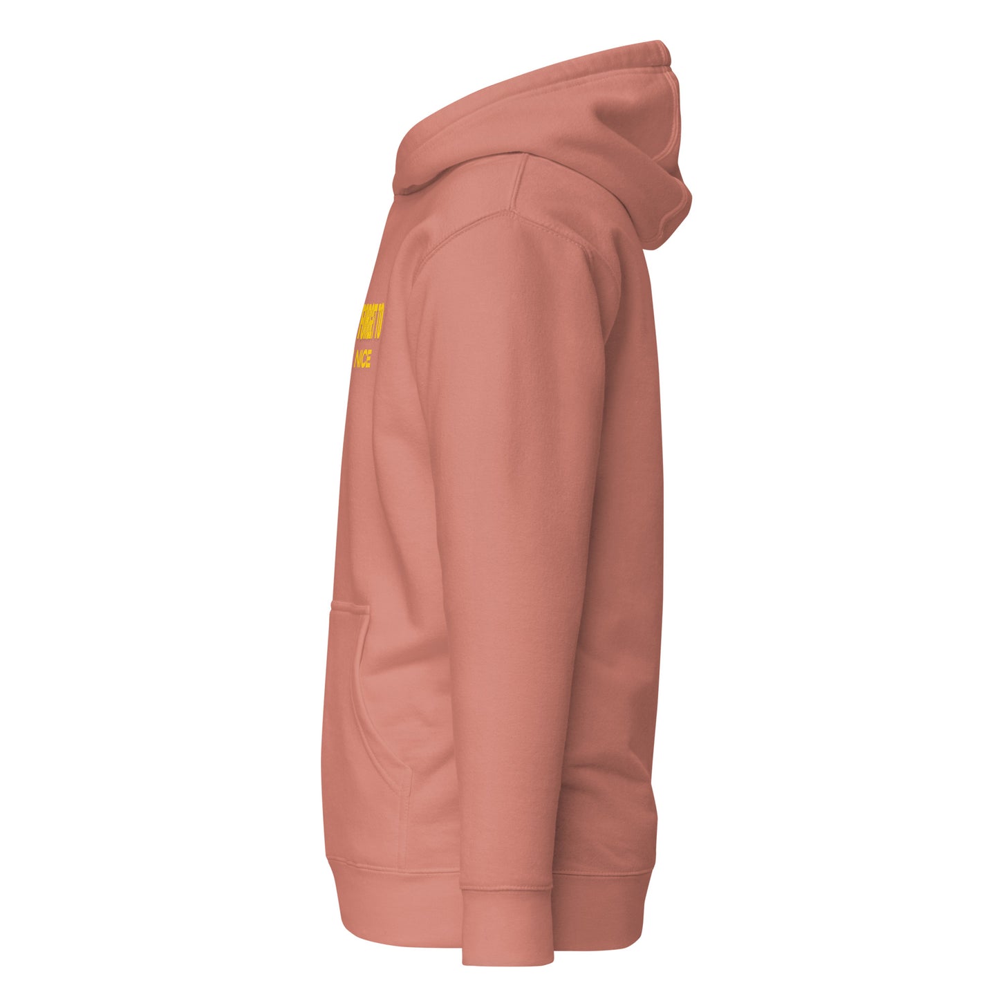 Don't Forget, Be Nice" Unisex Hoodie