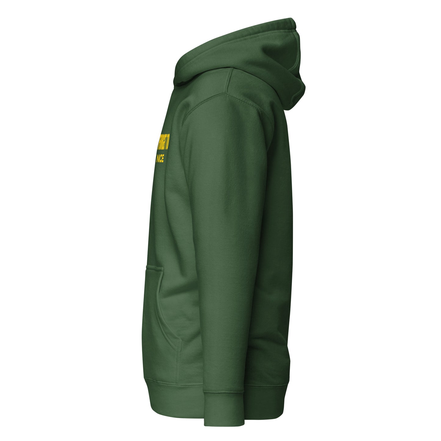 Don't Forget, Be Nice" Unisex Hoodie