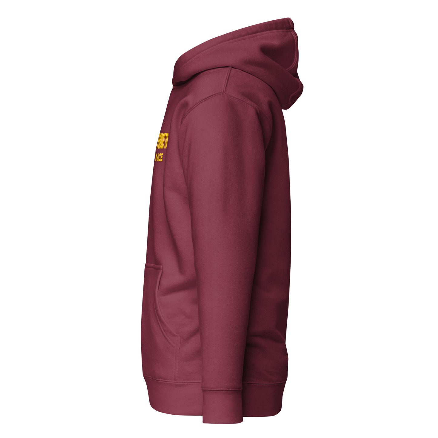 Don't Forget, Be Nice" Unisex Hoodie