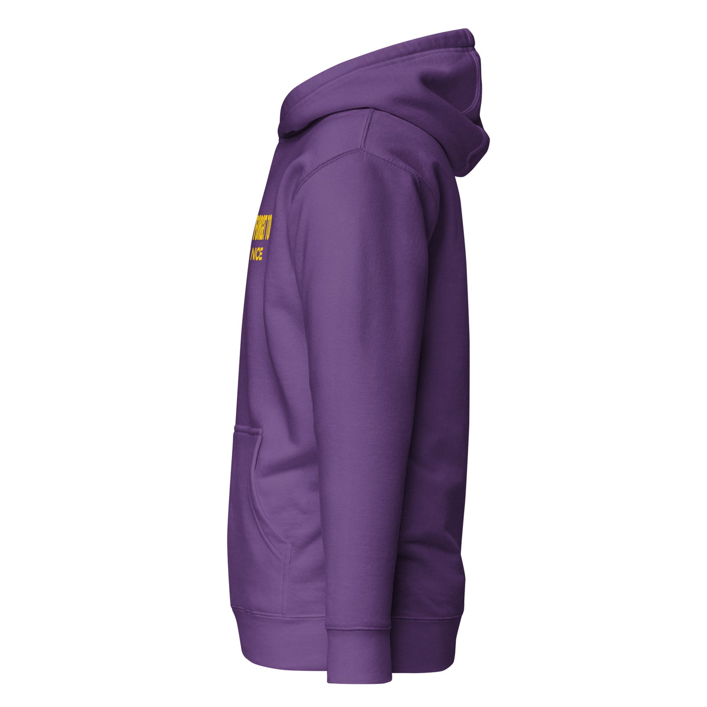 Don't Forget, Be Nice" Unisex Hoodie