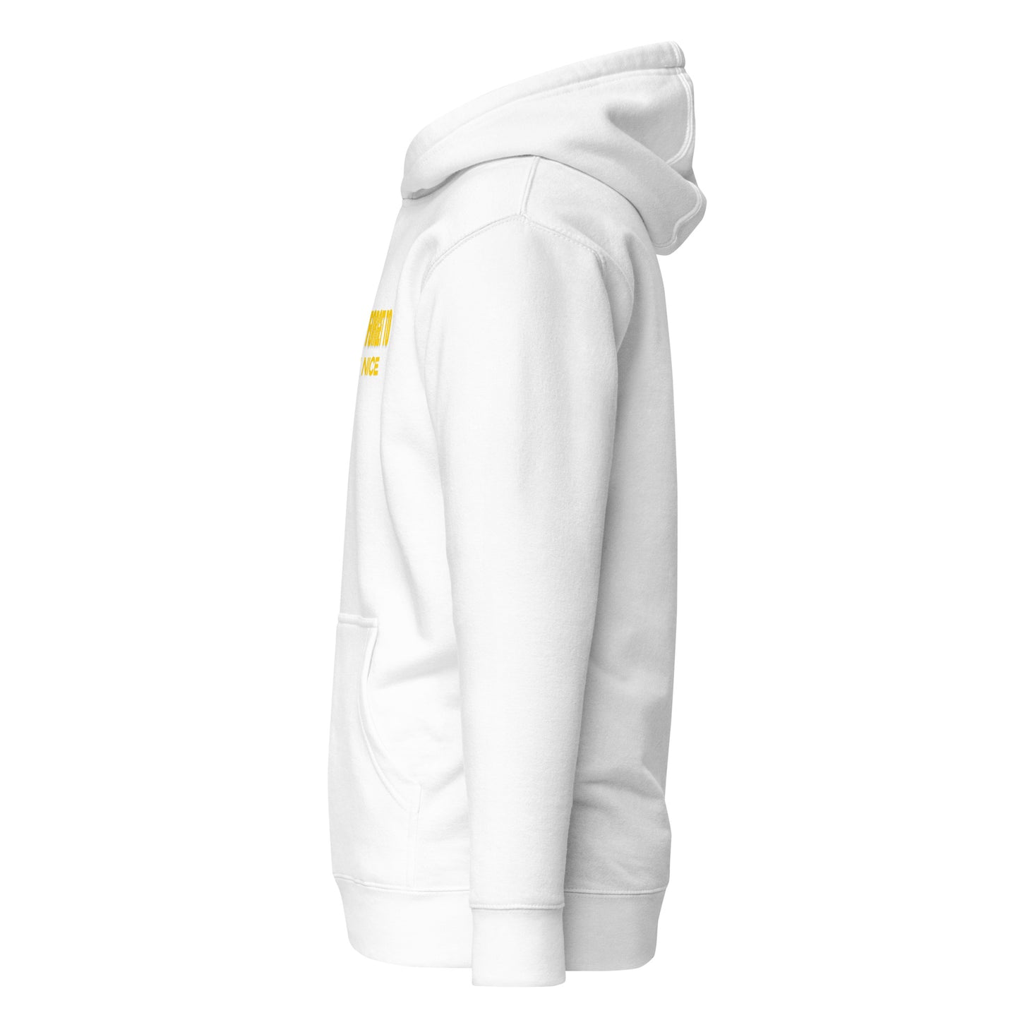 Don't Forget, Be Nice" Unisex Hoodie