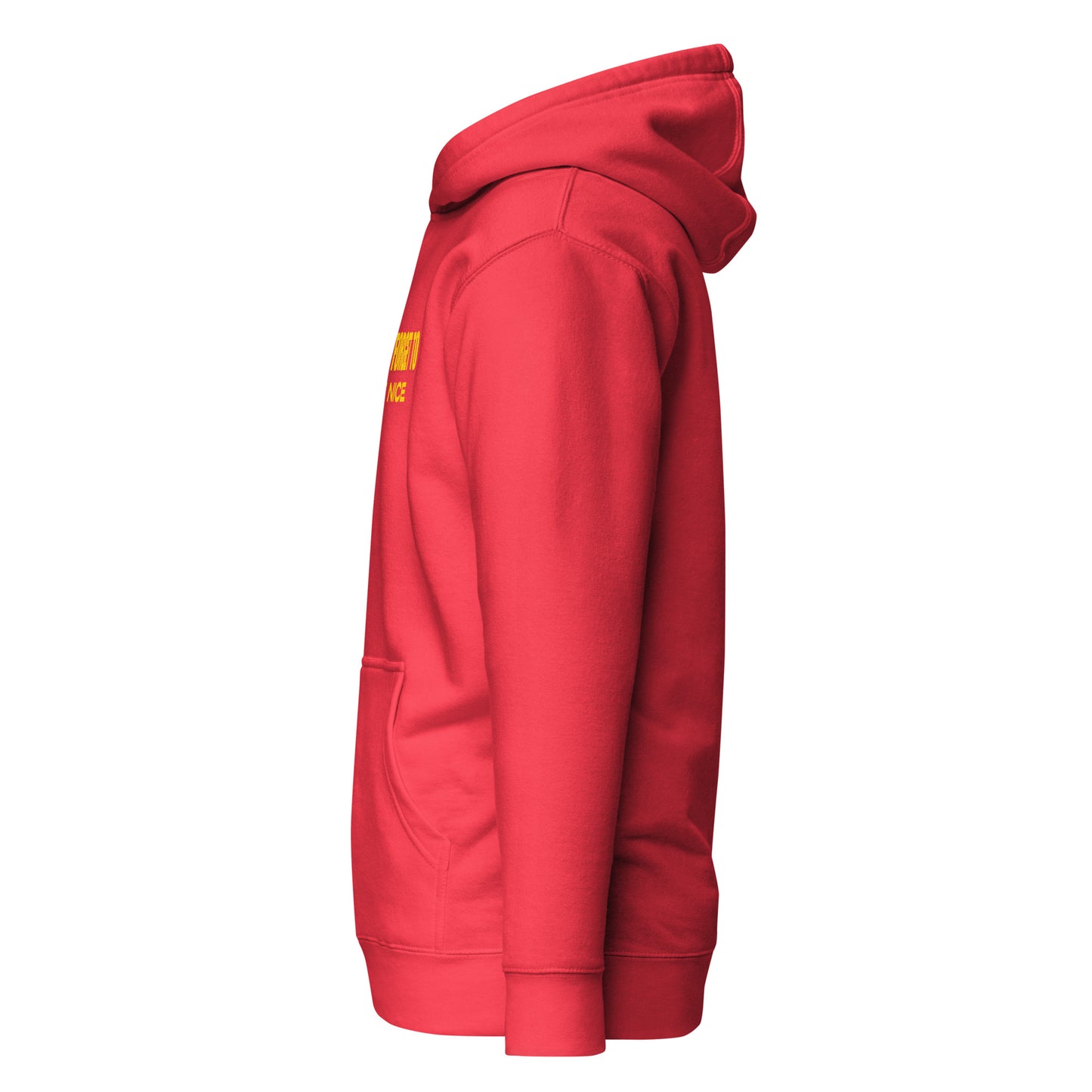 Don't Forget, Be Nice" Unisex Hoodie