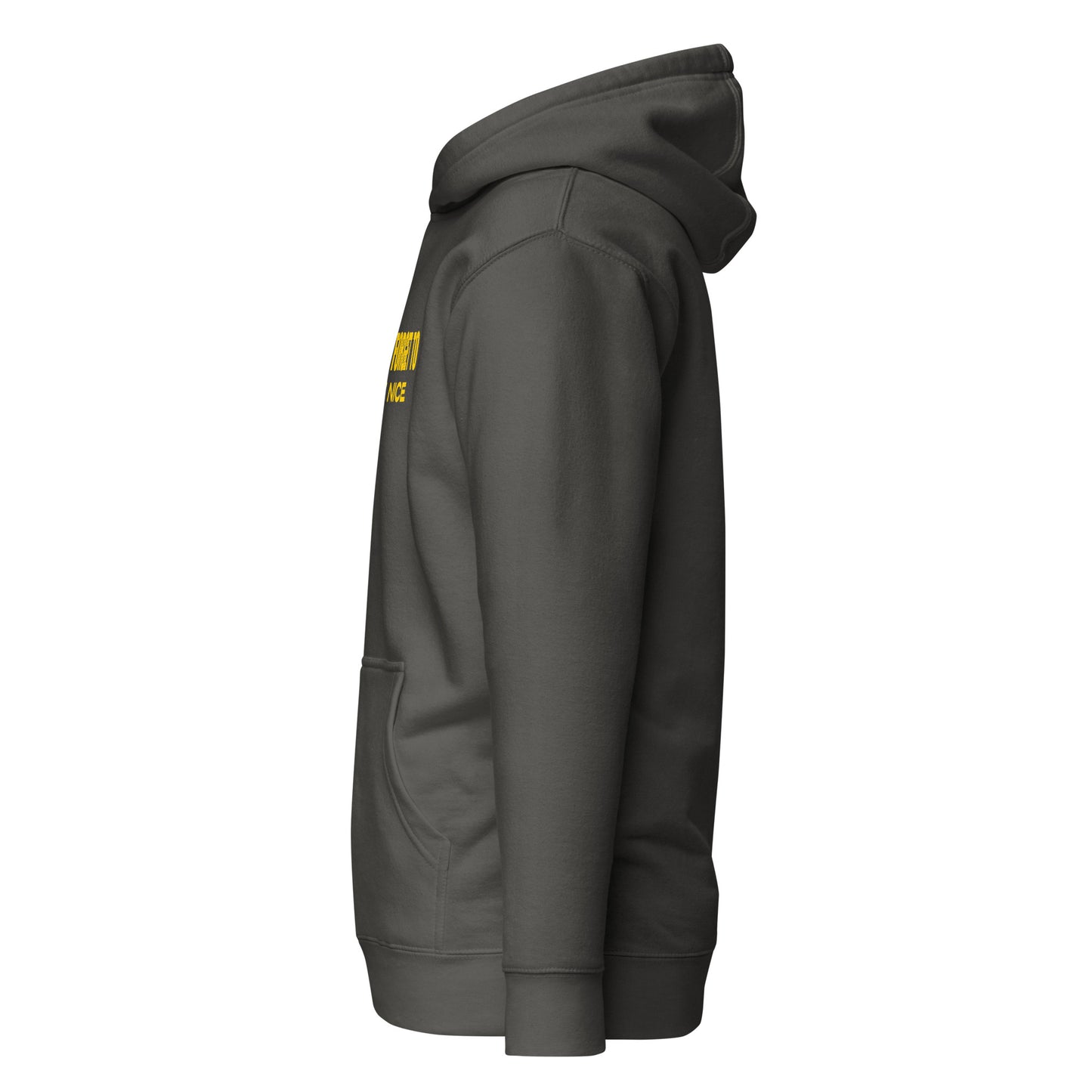 Don't Forget, Be Nice" Unisex Hoodie